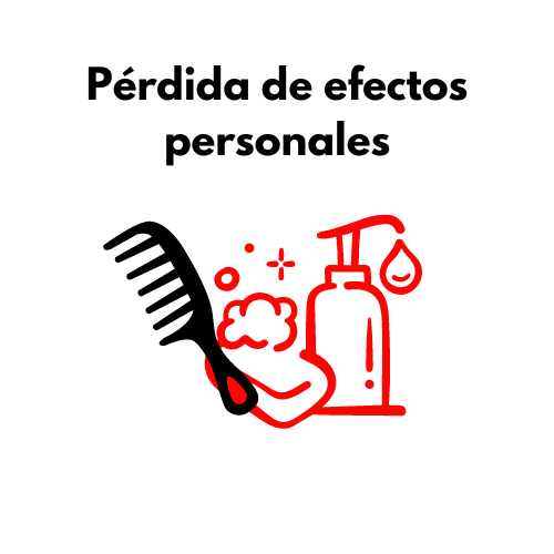 Pérdido de efectos personales